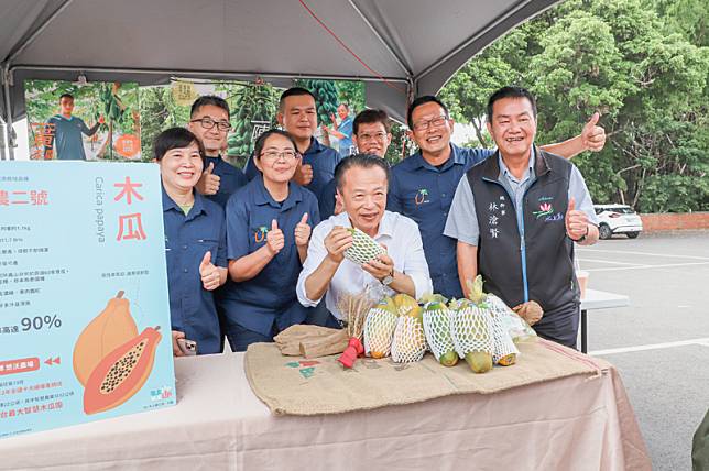 水上鄉種植的木瓜佔全國生產總面積第一名。（記者張翔翻攝）