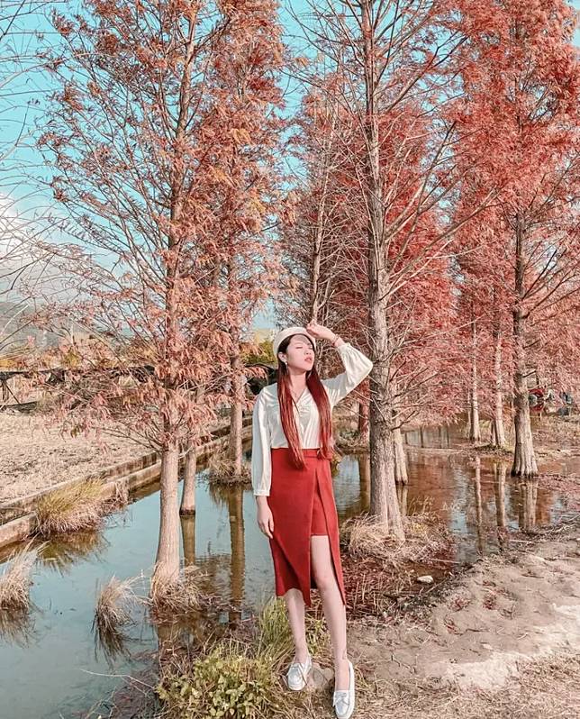 照片來源：IG @ peipeigo_