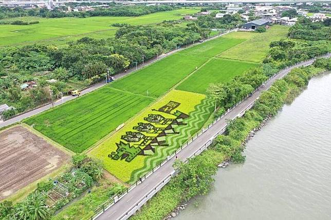 台北市關渡平原占地約800公頃，現況多種植水稻。(台北市產業發展局提供)