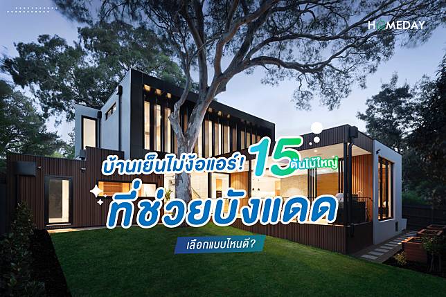 บ้านเย็นไม่ง้อแอร์ 15 ต้นไม้ใหญ่ปลูกในบ้าน ที่ช่วยบังแดด เลือกแบบไหนดี cover