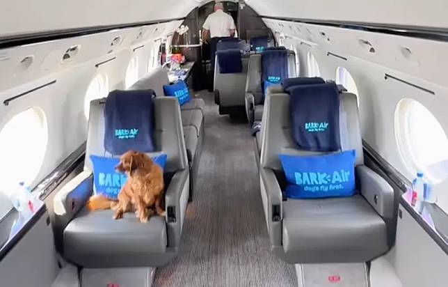 美國寵物品牌BARK，歷經數年的規劃與籌備，終於開創了「BARK Air」，一個專屬於狗狗的航空公司