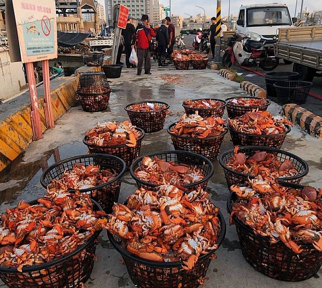 澎湖籍一艘漁船6日捕獲滿滿的旭蟹，不少民眾得知後就直接在碼頭與漁市場內搶購，希望能品嚐到最新鮮的食材。中央社 112年5月6日  
