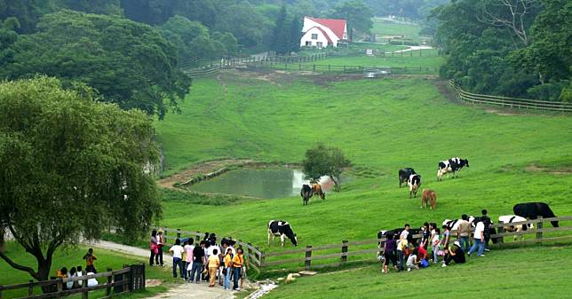 秋冬旅遊推薦全台6大「生態農場」，鹿境「台版小奈良」梅花鹿超親人，紐西蘭風情「走馬瀨」150多種野生動物！