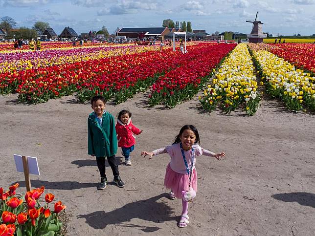 Children play at tulip fields in Lisse, the Netherlands, April 14, 2024. (Xinhua/Meng Dingbo)
