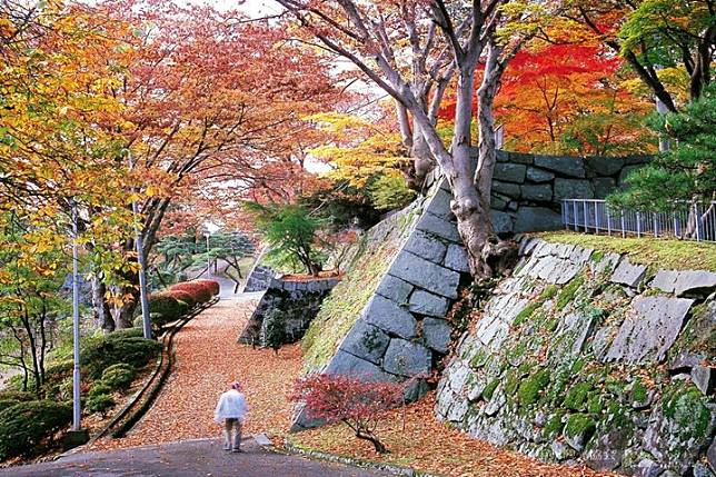 美楓了！岩手縣盛岡城跡公園譜出紅葉與石牆的最美協奏曲