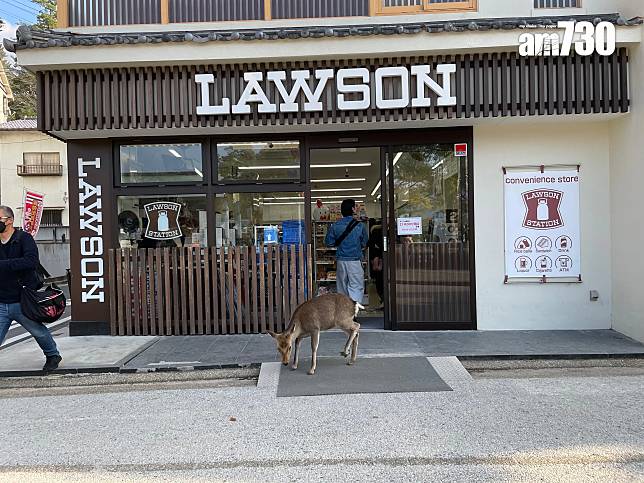 日本連鎖便利店Lawson(am730記者攝)