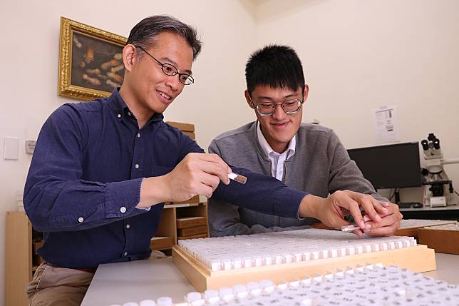 中興大學昆蟲學系教授李後鋒(左)與碩士生劉鎧源(右)進行甲蟲樣本研究。(中興大學提供)