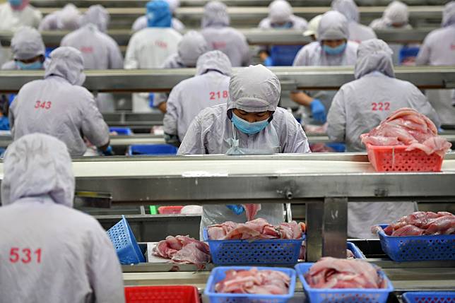 Workers get back to work at a tilapia processing line in an aquatic product company in Chengmai, a county of south China's Hainan Province, on February 18, 2020. Photo: Xinhua