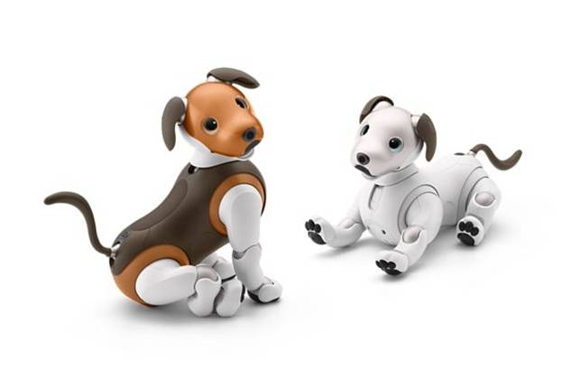 SONY aibo 機器狗進化！幫你控制家電，提醒你關冰箱門，最療癒的智能助理| 電獺少女| LINE TODAY