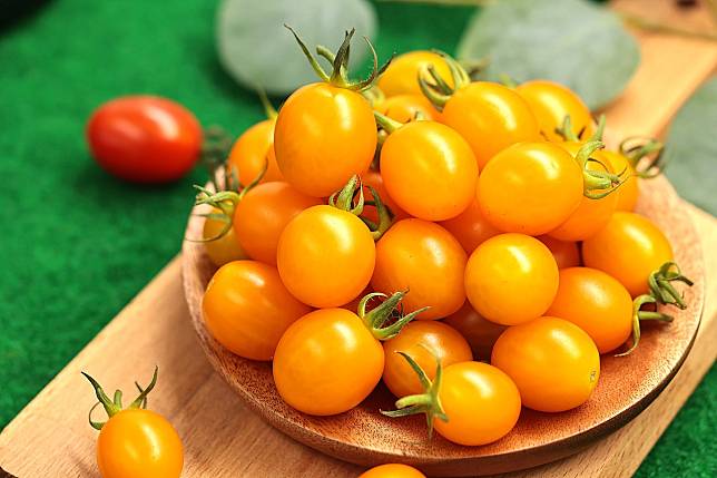 夏季也小番茄自由！農試所育出黃皮小番茄「糖馨」，香甜不輸玉女又耐熱，農友看好市場