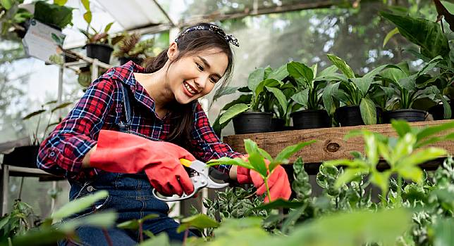 ▲從事園藝工作可活動身體多處肌肉群。（圖片來源：shutterstock）