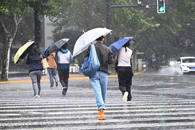 People walk across a street in the rain in Shanghai, east China, Nov. 1, 2024. (Photo by Chen Haoming/Xinhua)