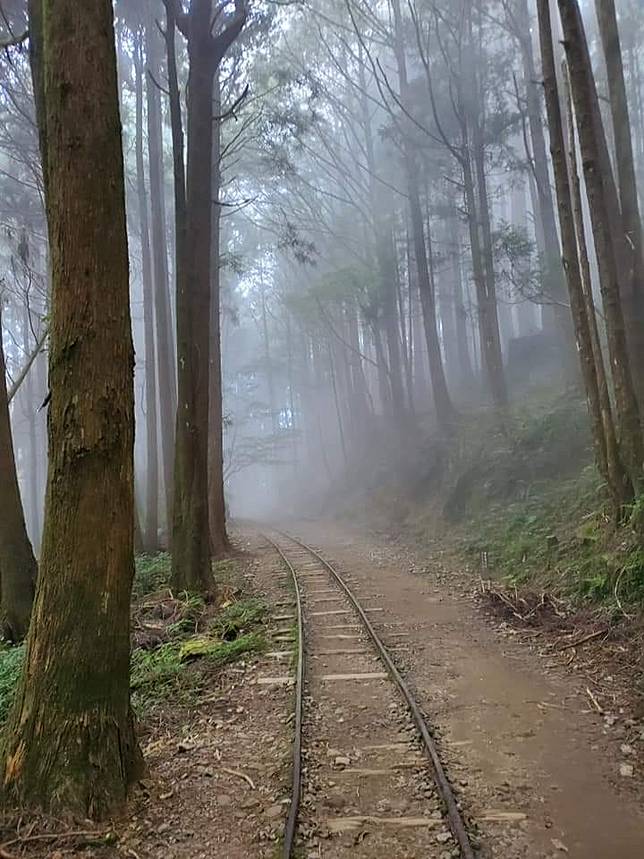 特富野森林步道。（中華旅行社提供）