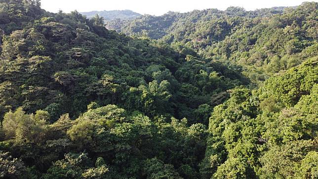 明知山有虎信託地現地天然林與周邊環境。圖片來源：台灣石虎保育協會理事李璟泓 提供