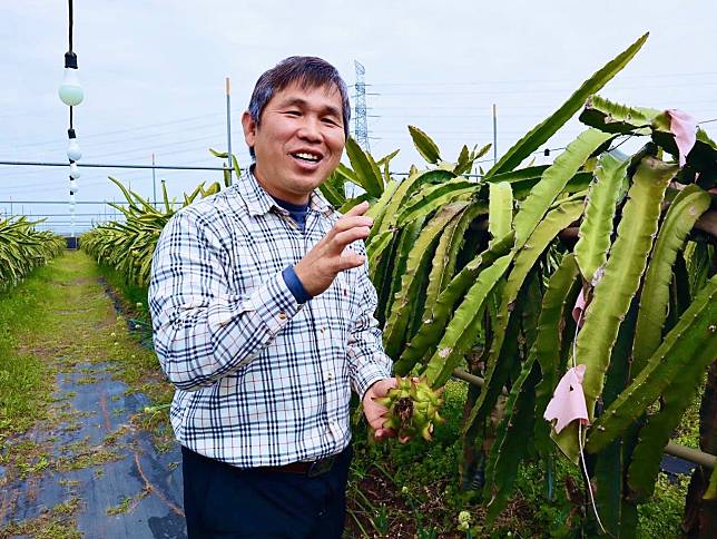 用顯微鏡務農的科學班長，驗土、驗肥料、善用微生物，黃政德五星級紅龍果的「有省錢」祕技