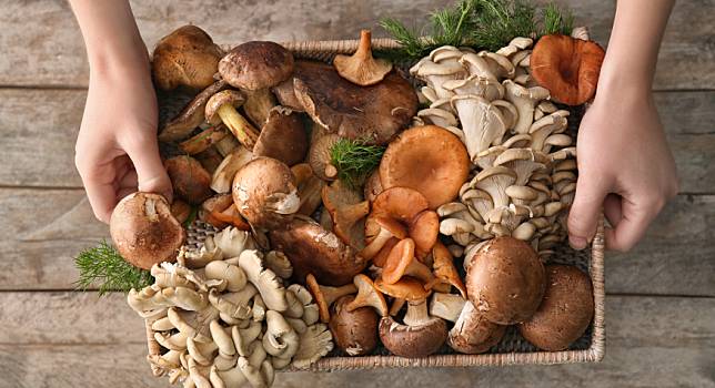 ▲菇類屬於菜，每日所需攝取的蔬菜飲食中應包含菇類，可讓營養更完整。