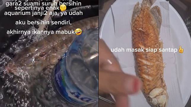 印尼人妻將名貴紅龍魚下鍋煮食。（圖／翻攝自TikTok miakurniawan01）