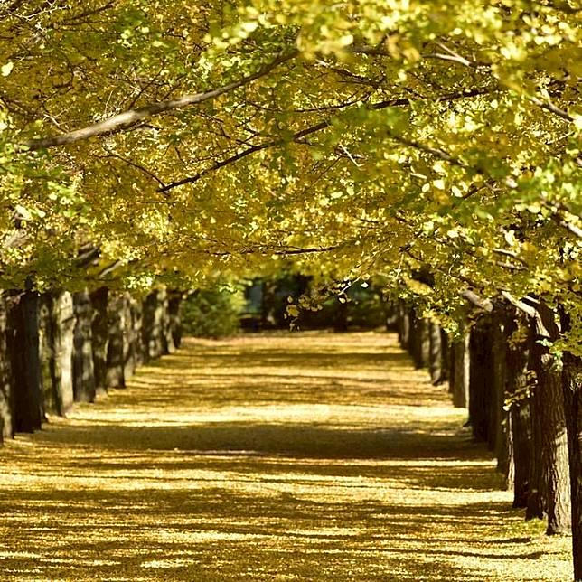 
<p>圖片來源：<a href=