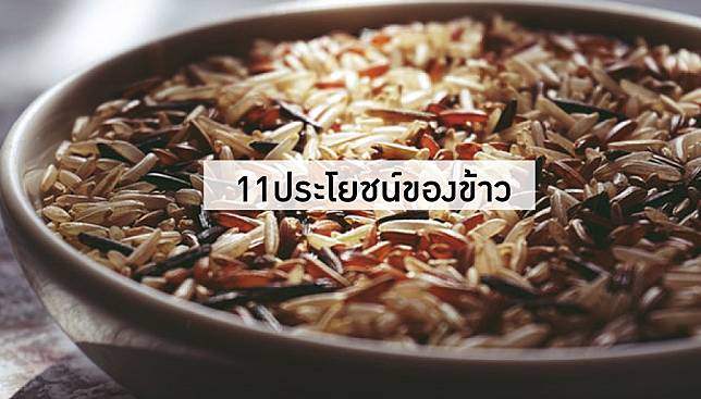 ข้าวมีประโยชน์อย่างไร ทำไมต้องกินทุกวัน – 11 ประโยชน์ของข้าว