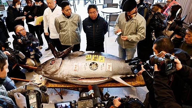 2025年1月5日，日本東京豐洲市場舉行新春鮪魚拍賣，一條276公斤的鮪魚以2.07億日圓成交。美聯社