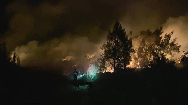 金門料羅新村附近傳出田野火警，在東北風助威下，火勢迅速擴大。(讀者提供)