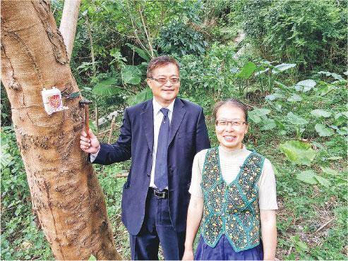 為樹睇症——身為樹木專家，趙紹惠不時教市民看樹，觀察樹木健康。（受訪者提供）