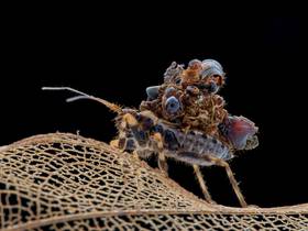 ▲青少年組亞軍郭定中-死亡披風者