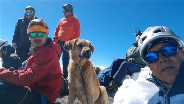 阿吉拉爾率領墨西哥高山俱樂部30名登山客一起上山救援狗狗。（圖片來源／Layo Aguilar臉書）