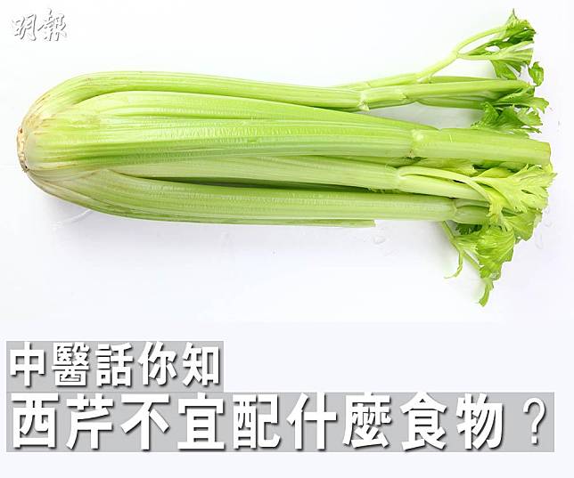 西芹宜配什麼食物？不宜配什麼食物？什麼人要注意進食西芹的分量？中醫話你知。（資料圖片／明報製圖）