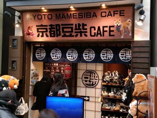 豆柴cafe正式在京都插旗。