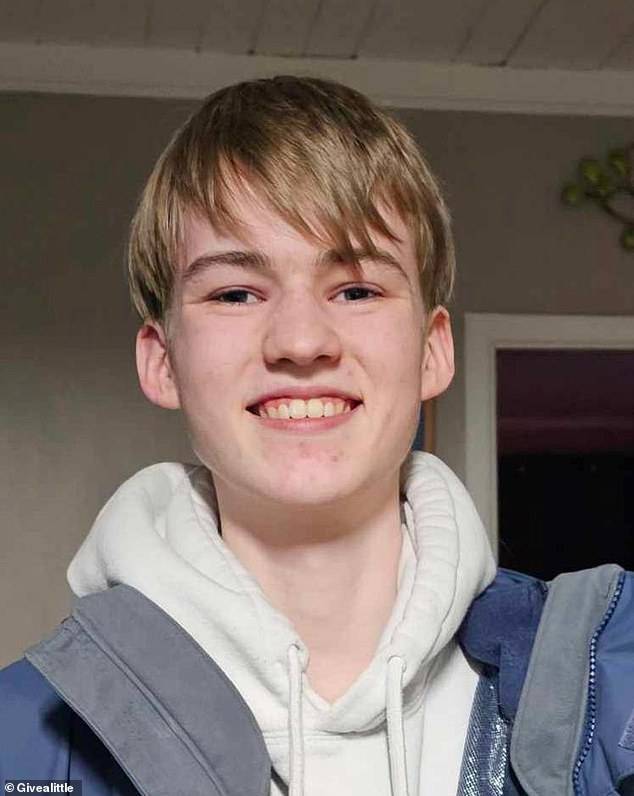 William Jones, 16 (pictured) was found unresponsive in his bed by his mother Rebecca Rollason at their home near Wellington, in New Zealand, on June 14