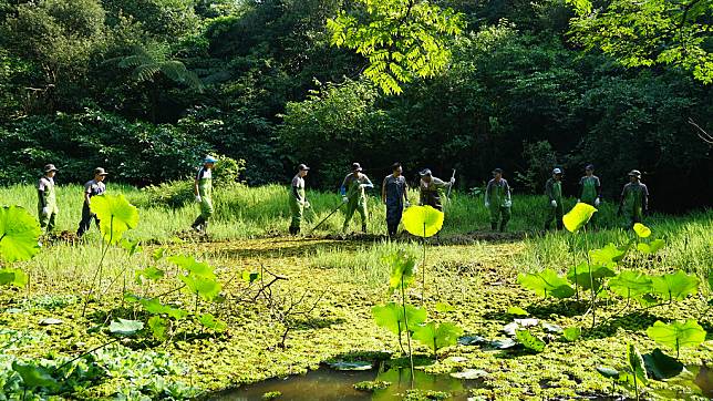 日本「四大電子電器產業協會」成立「生物多樣性工作小組」，將主流化融入工作與生活中。其實台灣也有企業早就具備主流化的思考。圖為Timberland企業進一步以這樣的方式導入會員經營，清除外來種。攝影：黃啟翔