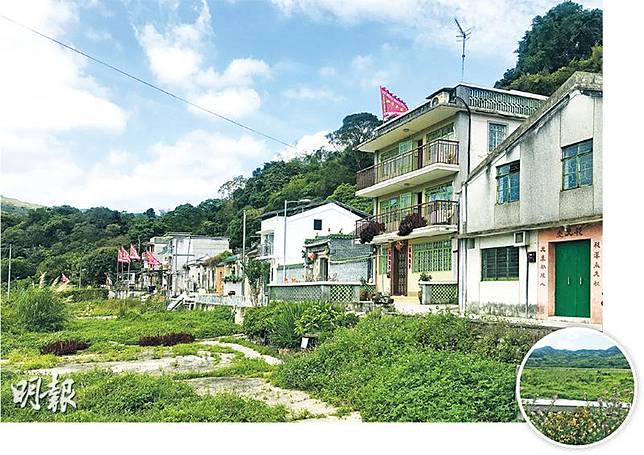 鹿頸村內一排村屋一致面向大片昔日為農地的荒草平原（圓圖），景觀開揚。（潘曉彤攝）
