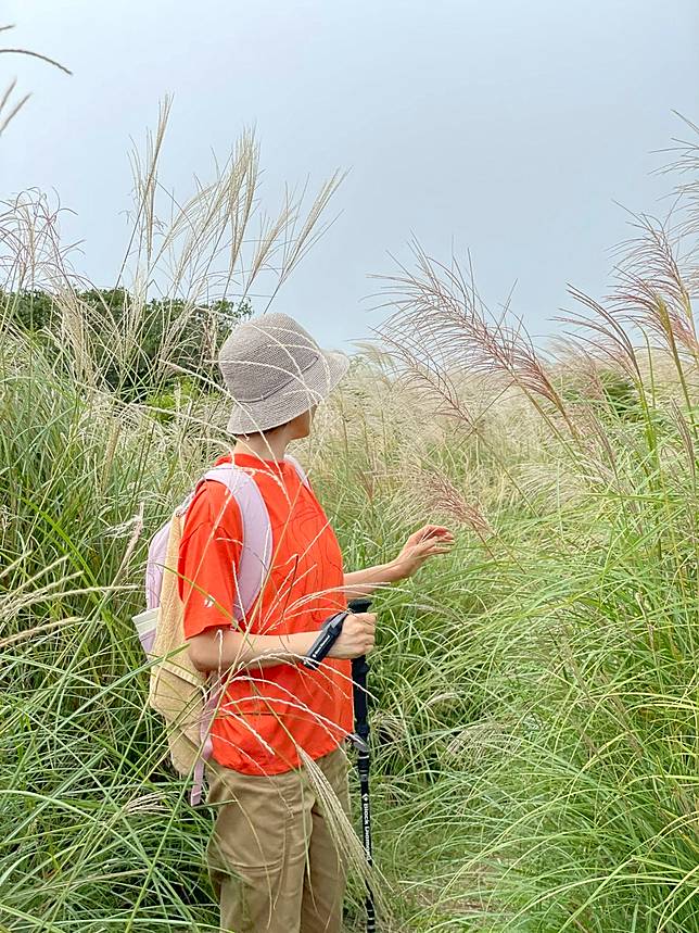 圖片提供/Wenhsin Wang