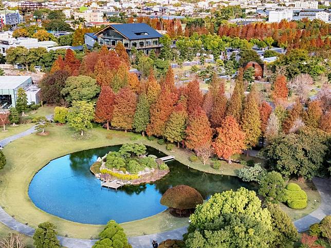 永靖成美文化園是全台唯一日系落羽松秘境。（成美文化園提供）