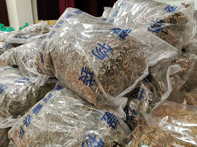 乾燥大麻花。記者卜敏正／攝影
