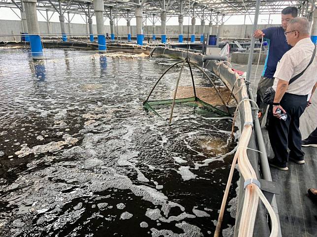 台南市政府農業局針對轄內漁電共生案場執行養殖事實查核。（農業局提供）