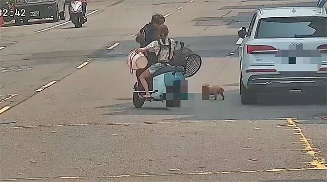 快新聞／飼主心碎找狗！紅貴賓鳳山街頭狂竄　警神反應「籃」住救回