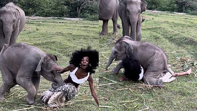 米蘭與小象的互動相當逗趣，讓網友羨慕。（圖／翻攝自@MissMeganMilan推特）