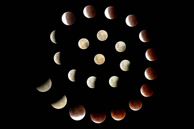 © Bronwen Gunning / Beaker Street Science Photography Prize
