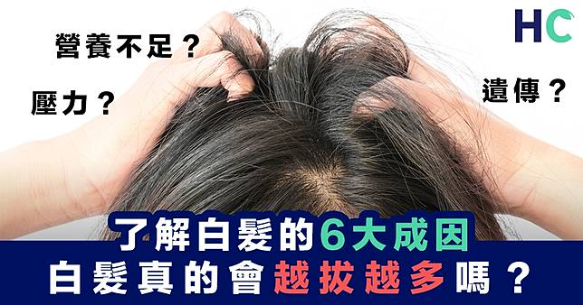 【解開迷思】了解白髮的6大成因 白髮真的會越拔越多嗎？