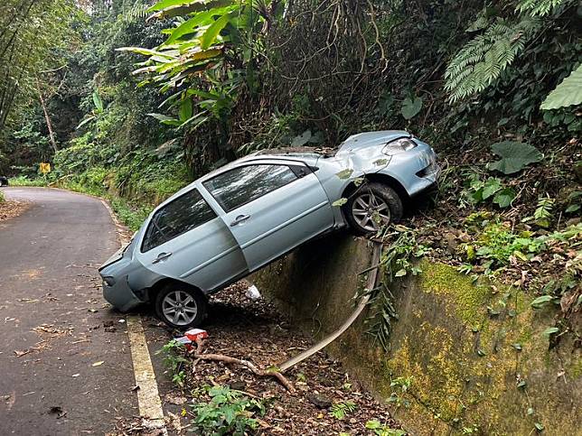 陳男駕車跌落山路邊坡。翻攝畫面