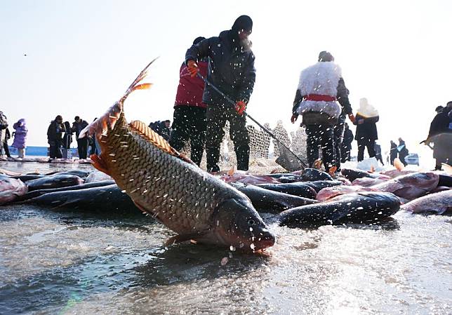 People catch fish at Wolong Lake in Kangping County of Shenyang, northeast China's Liaoning Province, Jan. 11, 2025. (Xinhua/Li Gang)