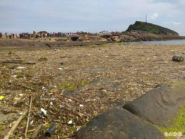 北海岸海面出現大批海漂垃圾，不料昨晚吹北風，大批海漂垃圾沖入第一區的礁岩區；進入野柳地質公園要欣賞女王頭的遊客，還沒看到女王頭，先看到海漂垃圾。(記者俞肇福攝)