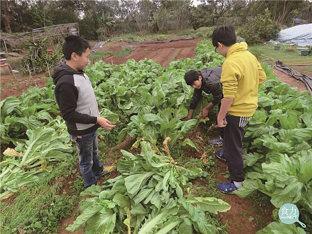 在台灣，無論是閩南、客家、原住民、新住民等，都有各自豐富的飲食文化，如何透過飲食來傳承文化格外重要。（圖片來源：桃園市政府提供）