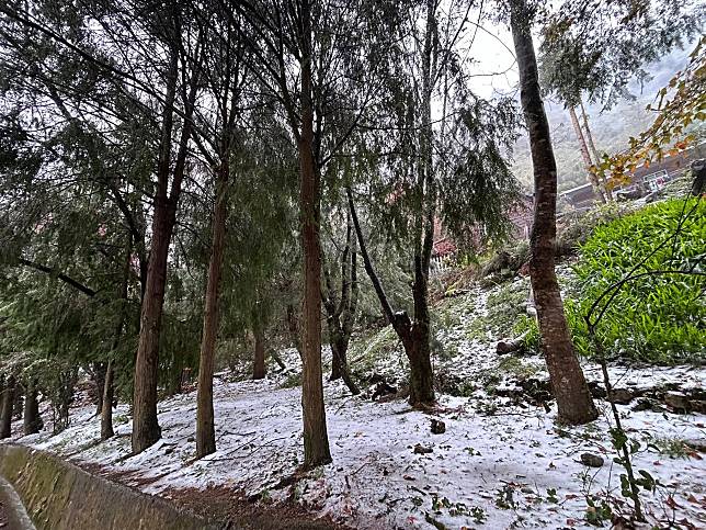 寒流冷颼颼 4個台灣熱門追雪景點