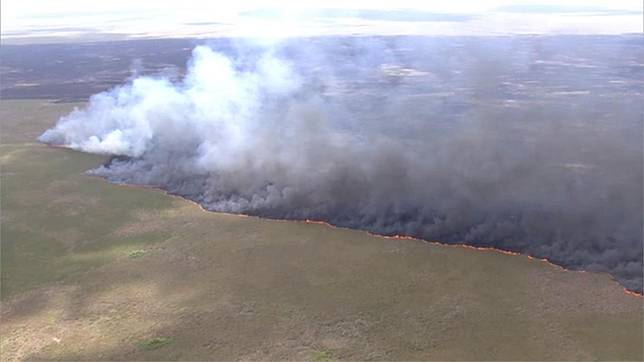 櫻桃「產量狂跌」爆危機！中國買氣慘台人竟狂砸「1.86億」進口