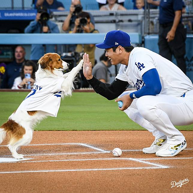 大谷愛犬成「明星」　盼推動稀有犬種數量增加