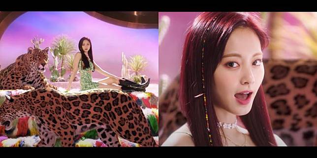 ▲子瑜新歌MV中坐在特效的五隻豹中間。（圖／JYP Entertainment YouTube）