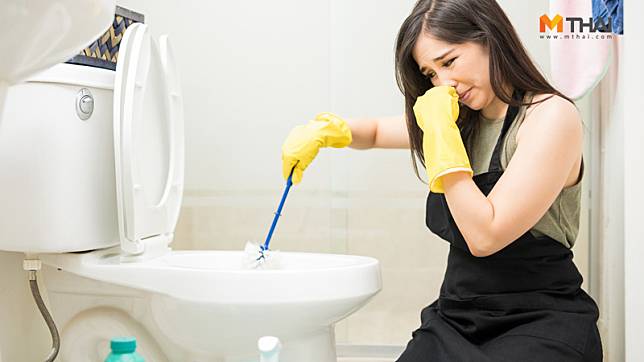 5 เคล็ดลับ วิธีดับกลิ่นห้องน้ำ วิธีง่ายๆ ที่ใครๆ ก็ทำได้
